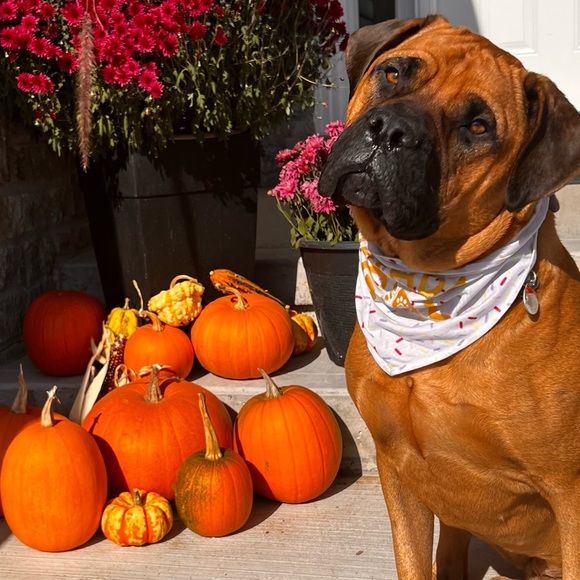 Meet your Posher, Lauryn - Picture 1 of 1